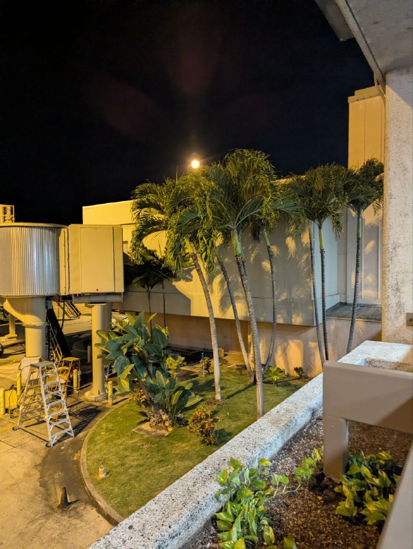 物理治療中！過冬，年年嚷著夏威夷，歲歲都在加勒比