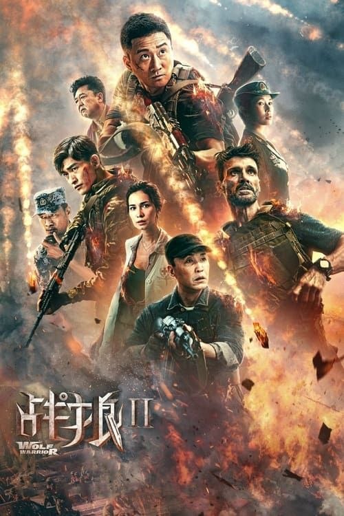 名称：【原盘】战狼2 (2017) 4K REMUX 内封简繁字幕