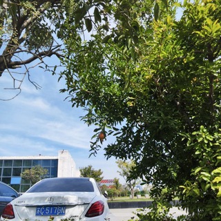 三魅破解软件分享群