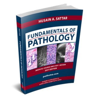 Pathoma Videos 2024 | USMLE Telegram Tools & Utilities channel