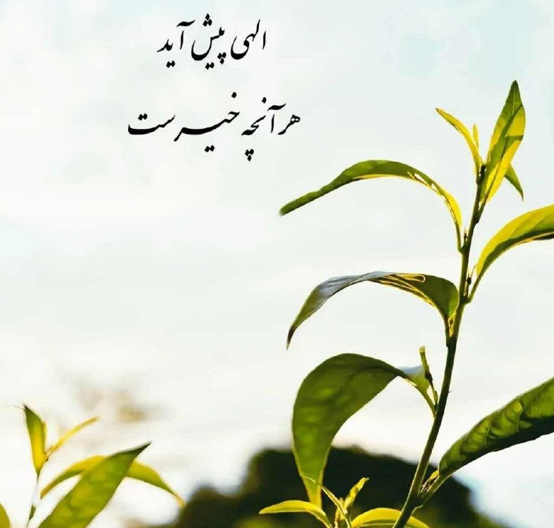 استغفار: .گل که باشی ؛ باغبانها دست چینت میکنندسنگ باشی میتراشند و نگینت میکنند ...هرگز از این پیله تنهایی ات غمگین نباش ؛روزگاری