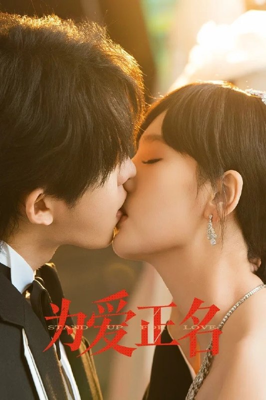 名称：为爱正名 4K [更新至17集]