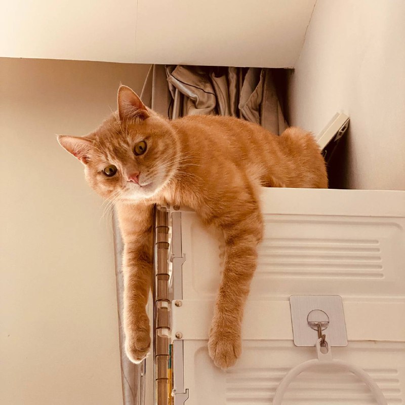 我就很无聊啊……爬上来透透气