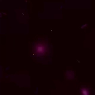 PP_Pay总代理（老九）