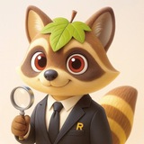 크립토하는 라쿤