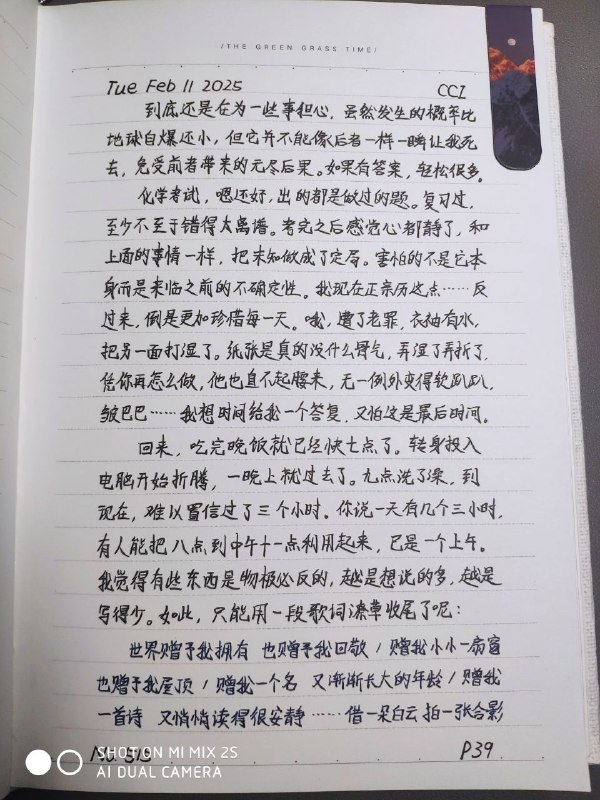 媒体预览