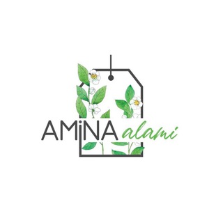 Amina Chinese Muslim Food Telegram Group Link