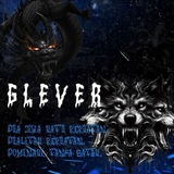 MEDIA PARTNERSHIP GLEVER