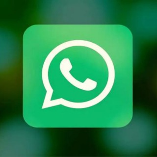 Bulgaria WhatsApp Leads