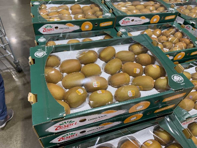 #Costco好市多7月新品通知ZESPRI 有機陽光金圓頭 #189390