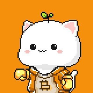 Bitcoin Cats | $1CAT on BRC20 🐱🚀 Telegram Group Link
