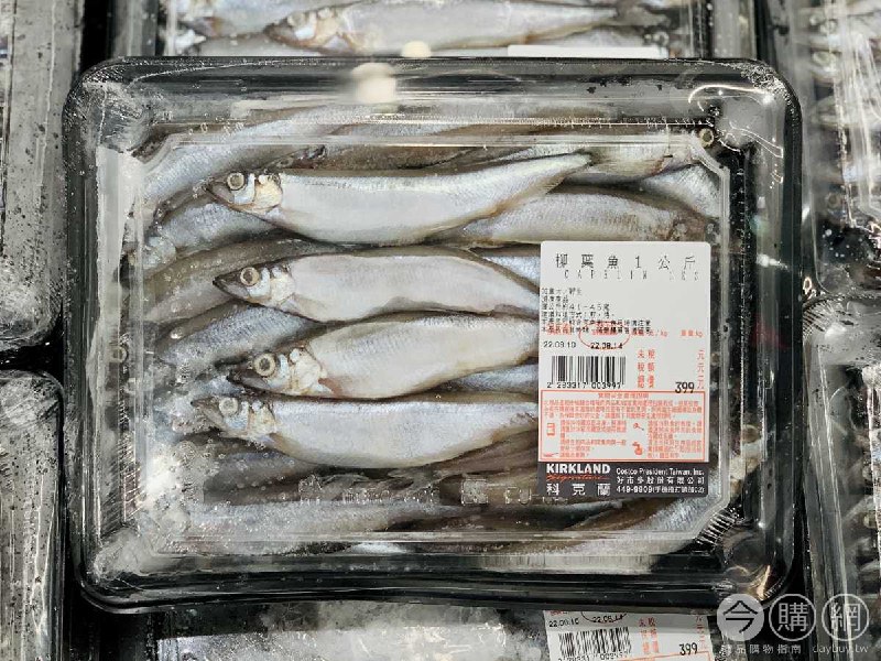 新品情報連結 