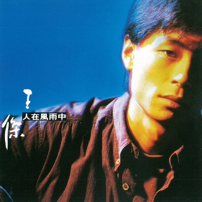 王杰-人在风雨中