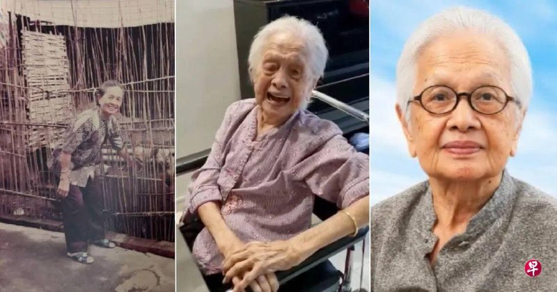 一名曾亲历日军占领新加坡的百岁老人张亚双（Chiang Ah Swang）日前安详离世，享年110岁。这名上世纪30年代从中国福建移居新加坡的老人，于上星期五（7月31日）早上在家中安详辞世，留下六名子女、六名孙辈和八名曾孙辈。