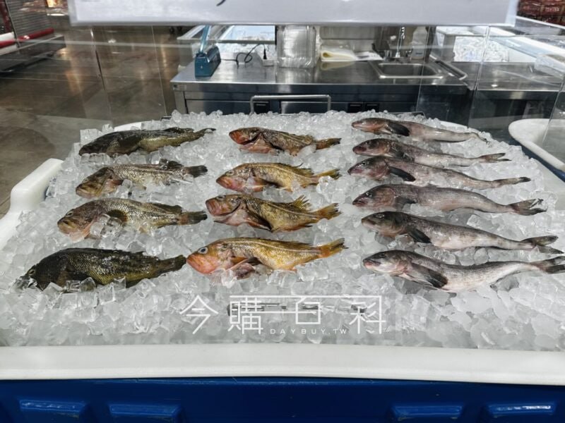新品情報連結 