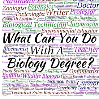 Life Sciences-PhD Positions/Scholarships🧬🦠🔬📝 Telegram Group Link