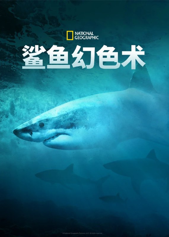 鲨鱼幻色术Camo Sharks高清资源下载 - 揭秘伪装大师的生存策略