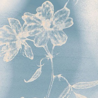 Purple Cheese🚬❤️ Telegram Group Link