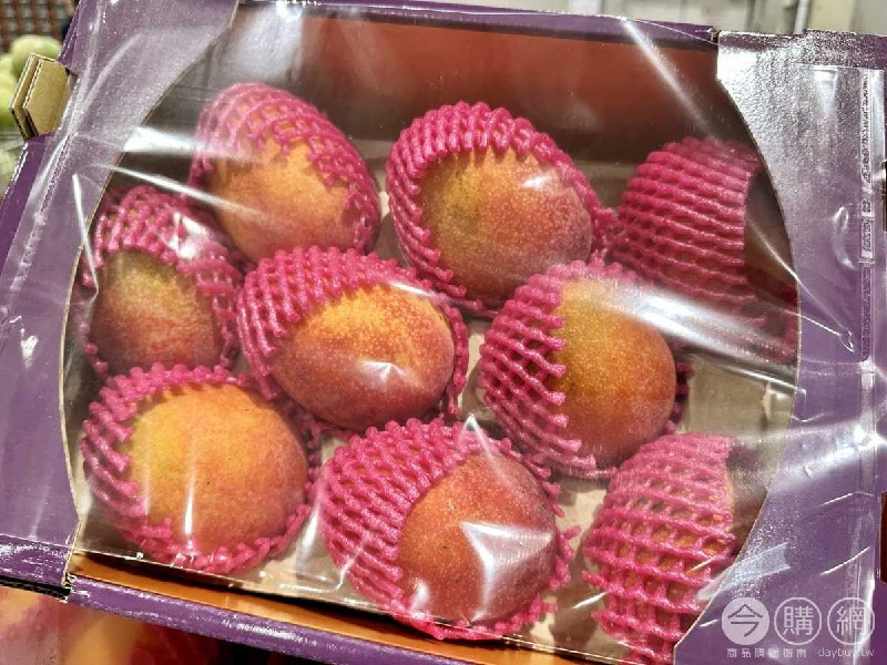 新品完整情報 