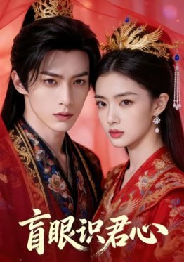 盲眼识君心（50集）Ai短剧