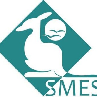 Shada Migration Services Telegram Group Link