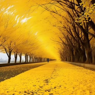 Forest : Focus For Productivity ©🍂🍃 Telegram Group Link