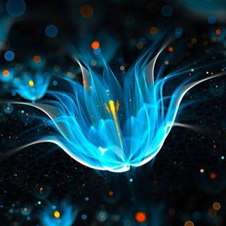 Kannada Cracking Movie Group🎥📽🎞 Telegram Group Link