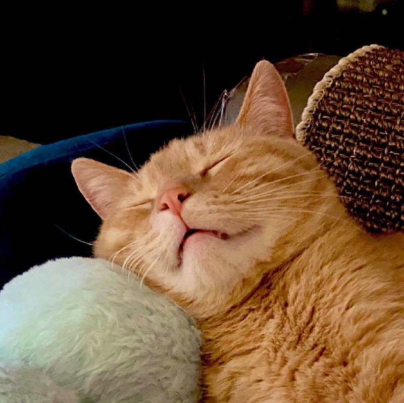 太糟心了，完全看不得这种照片 