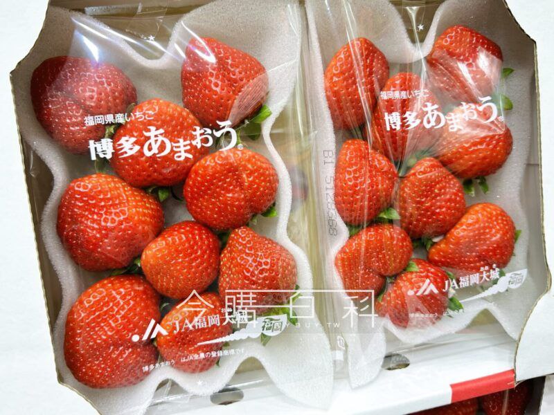 新品情報看這裡 