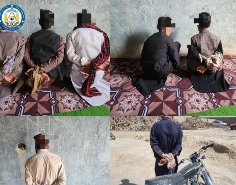 خبرتازه افغانستان: ✅بازداشت ۷ نفر در نیمروز به اتهام جرایم مختلففرماندهی امنیه ولایت نیمروز میگوید که نیروهای حوزه سوم امنیتی این ولایت، د