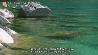Kamigami 诸神字幕组 | The World Heritage 世界遗产 - 2023-07-23 世界遗产中的动物家族 [720p x265 Ma10...
