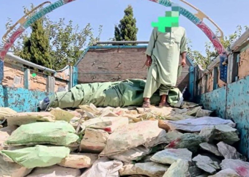 خبرتازه افغانستان: ✅جلوگیری از قاچاق ۱۲۶۸ سنگ قیمتی و بازداشت ۷ تن در نیمروز و ننگرهار وزارت امور داخله اعلام کرده است که نیروهای امنیتی در