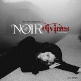 noir ঌ divines