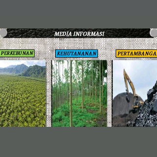 Media Informasi Perkebunan, Kehutanan & Pertambangan