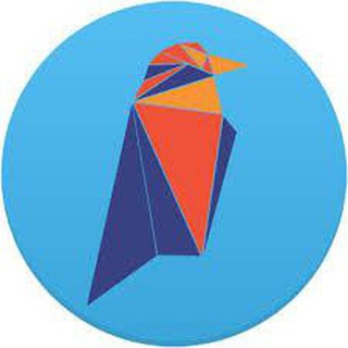 RVN Bounty 🎁
