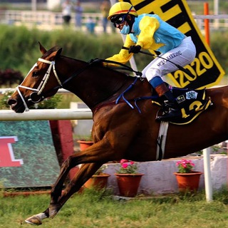 Bangalore Race Live Stream with Audio🐎 Telegram Group Link