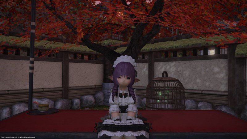 我也踏入最終歸宿，變為一隻肥肥了……真香（雙重含義） #FF14我也踏入最終歸宿，變為一隻肥肥了……真香（雙重含義） #FF14