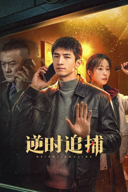 名称：逆时追捕（2026）4K 10bit 60FPS 全26集