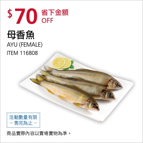優惠商品情報 
