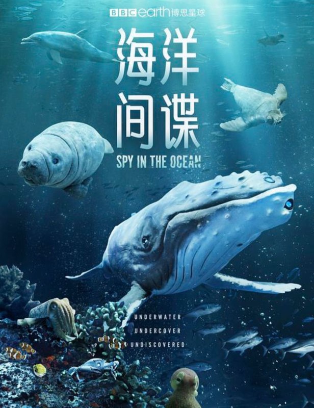 海洋间谍（2023）