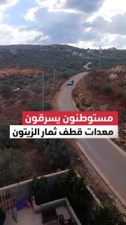 וידאו | מתנחלים ישראלים גונבים ציוד למסיק זיתים מאדמות של חקלאים פלסטינים בעיירה ביתא, דרומית לשכם בגדה המע…
