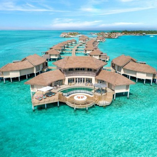 Maldives Jobs Telegram Group Link