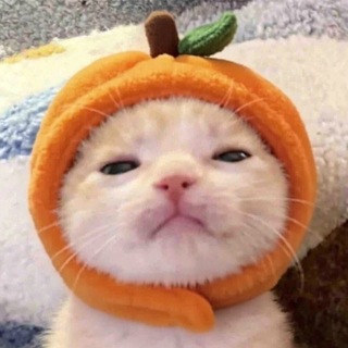 𝗔𝗟𝗣𝗔𝗪𝗠𝗔𝗥𝗧
