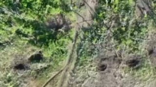 צילומים מראים מפעילי כטב"מים רוסים מהצבא ה-35 של קבוצת הכוחות המזרחית תוקפים חיילים אוקראינים בכיוון זפוריז…
