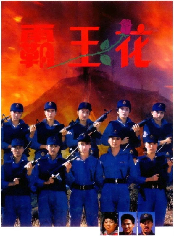 名称：【原盘】霸王花 (1988) 1080P REMUX 国粤多音轨 内封/外挂简中字幕