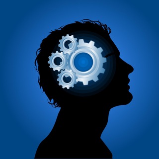 Did You Know Telegram Group Link