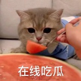 吃瓜🔥 美女🔥