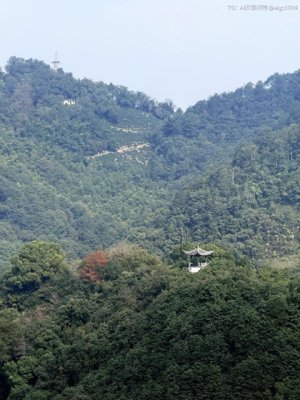“记住，永远不要低估杭州的山！”