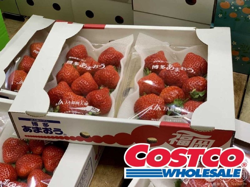 Costco好市多 福岡日本草莓 目擊上架，香氣十足要買趁早!!!🤩🔥新商品情報連結 