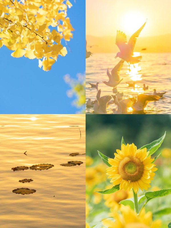 春之绚烂夏之热烈秋之静美冬之纯净春之绚烂夏之热烈秋之静美冬之纯净